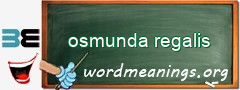 WordMeaning blackboard for osmunda regalis